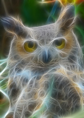 ghost owl.jpg (941 KB)